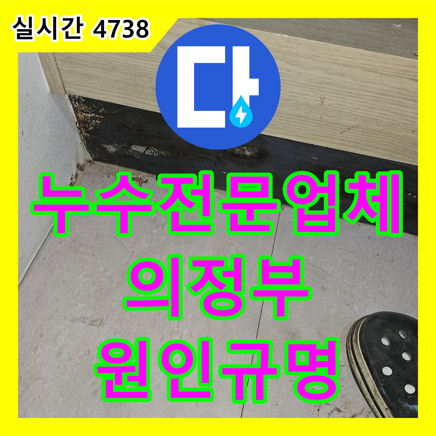 누수전문업체 의정부 금오동 상가 건물 층간 누수 책임 소재를 가리기 위한 정밀 진단