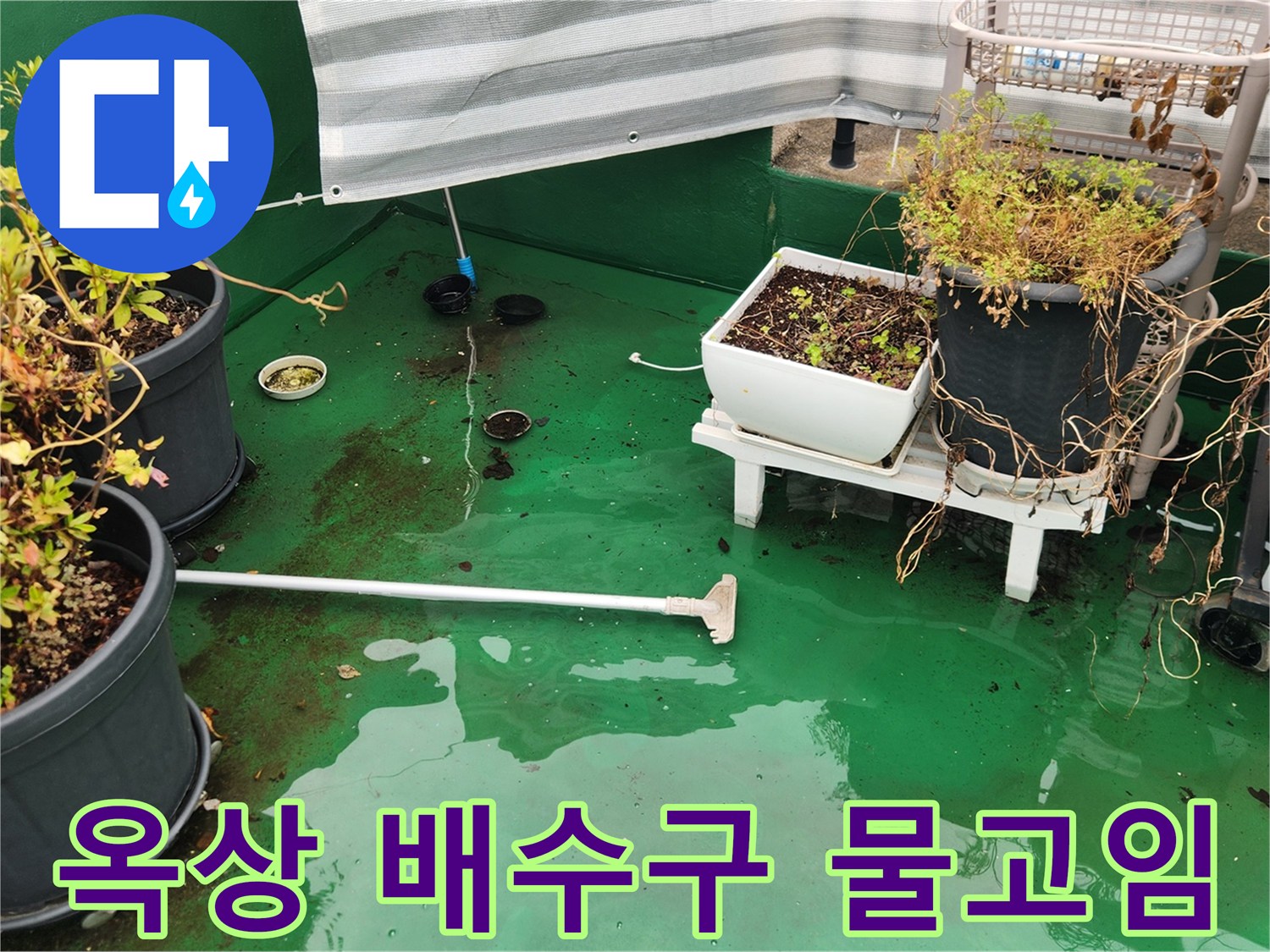 고양시 덕양구 현장-옥상 바닥에 물이 고여 있는 모습