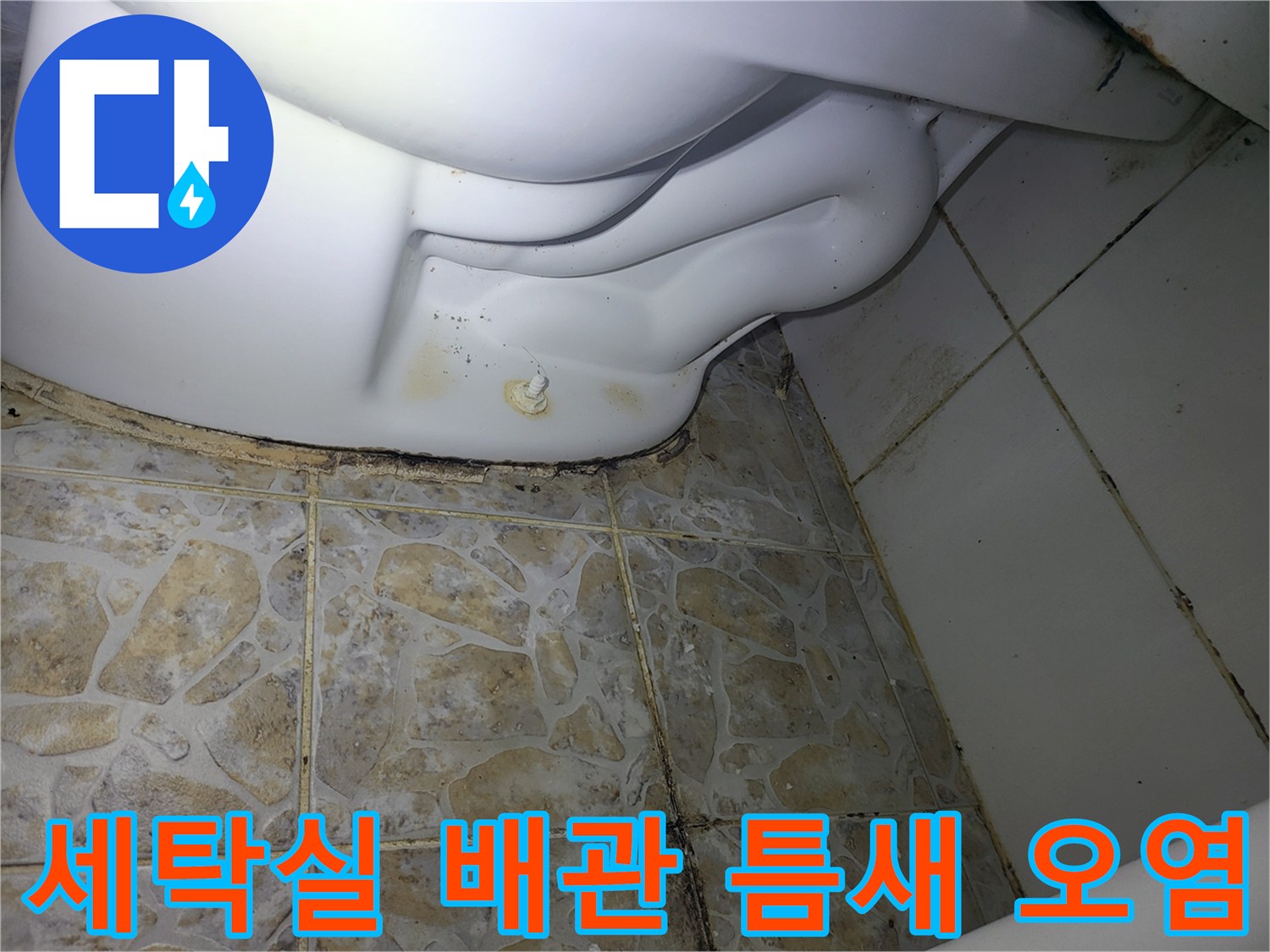 세탁기 연결 부위 주변의 타일 곰팡이와 변색 상태를 보여주는 사진입니다.