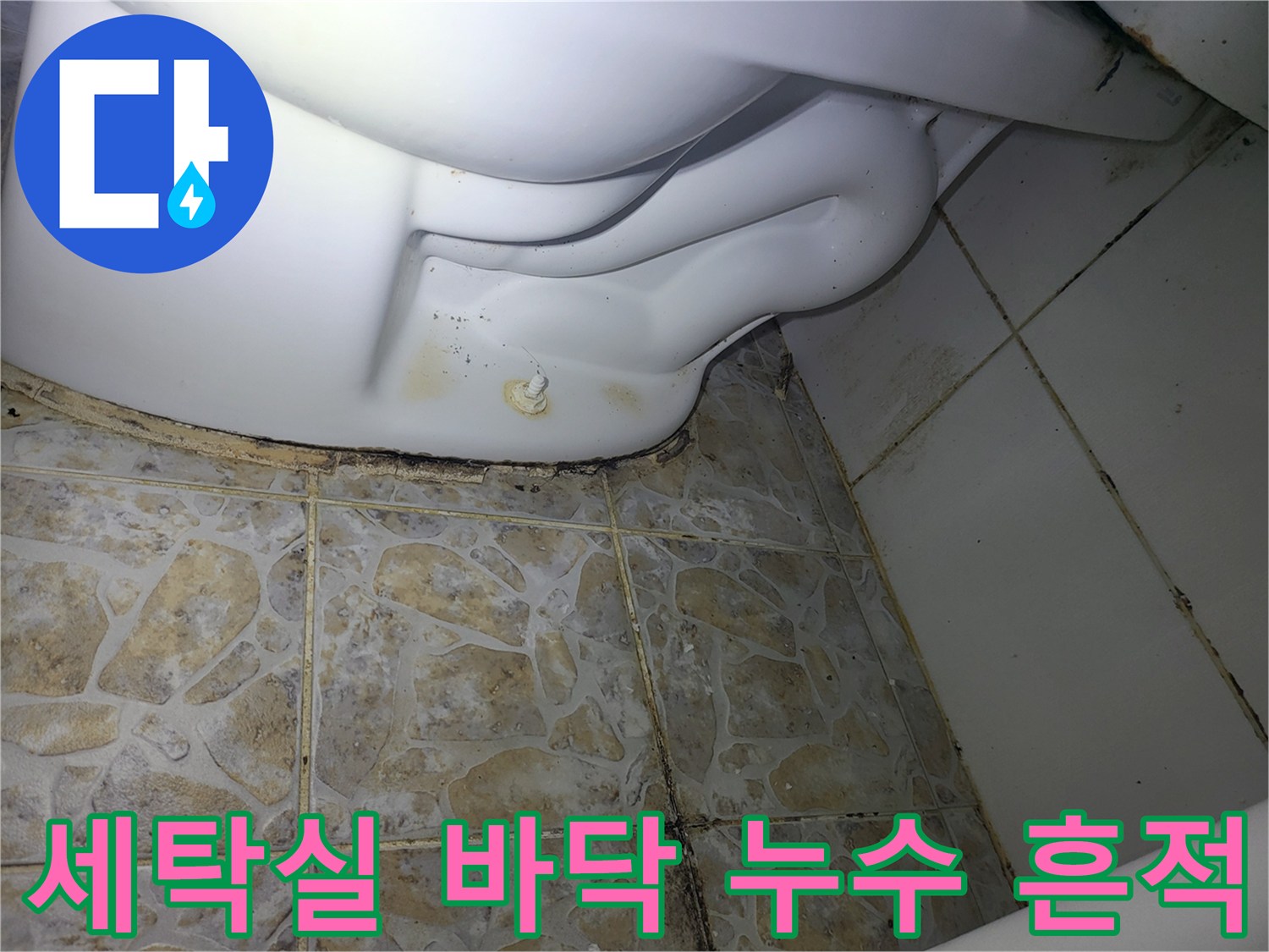 수원 영화동 세탁실-바닥 타일 사이 곰팡이와 물샘 흔적
