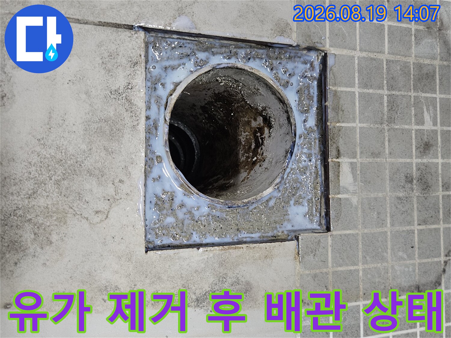 배수구 유가를 제거하여 드러난 내부 배관의 오염된 모습입니다.