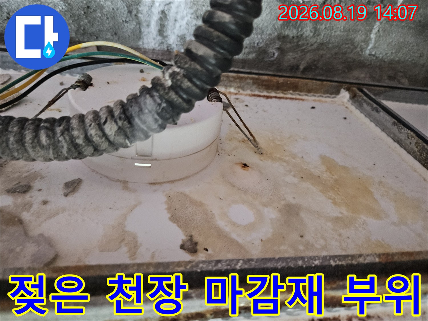 양주 옥정동-습기로 얼룩진 화장실 천장과 노출된 전기 배관