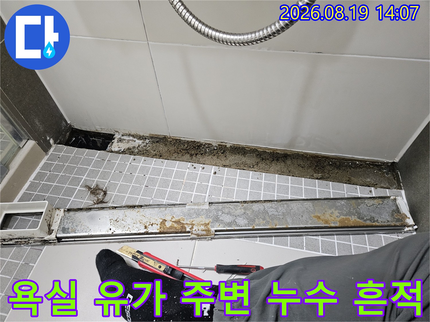 양주 옥정동 욕실 바닥의 배수구 유가 주변에 발생한 곰팡이와 물때 현상입니다.