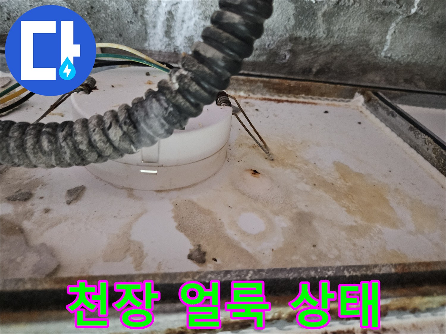 양주 옥정동-천장 마감재에 발생한 누수 오염 흔적
