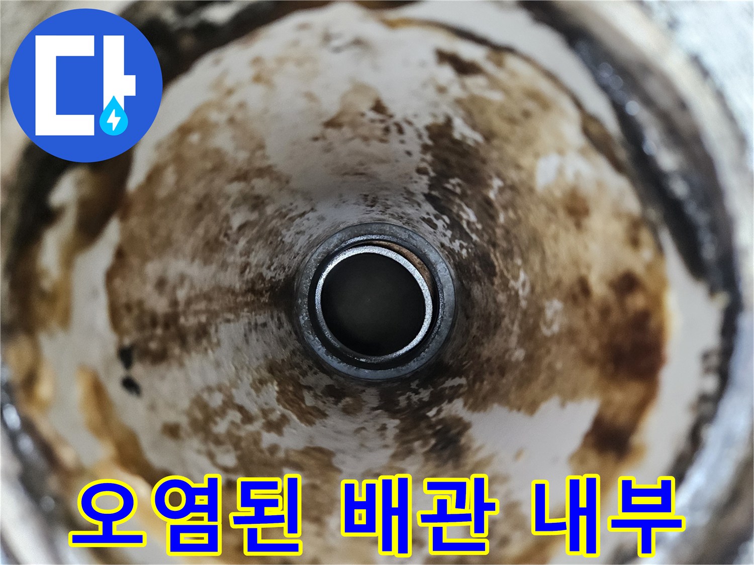 양주 옥정동 현장-누수로 오염된 배수 트랩 내부 확인