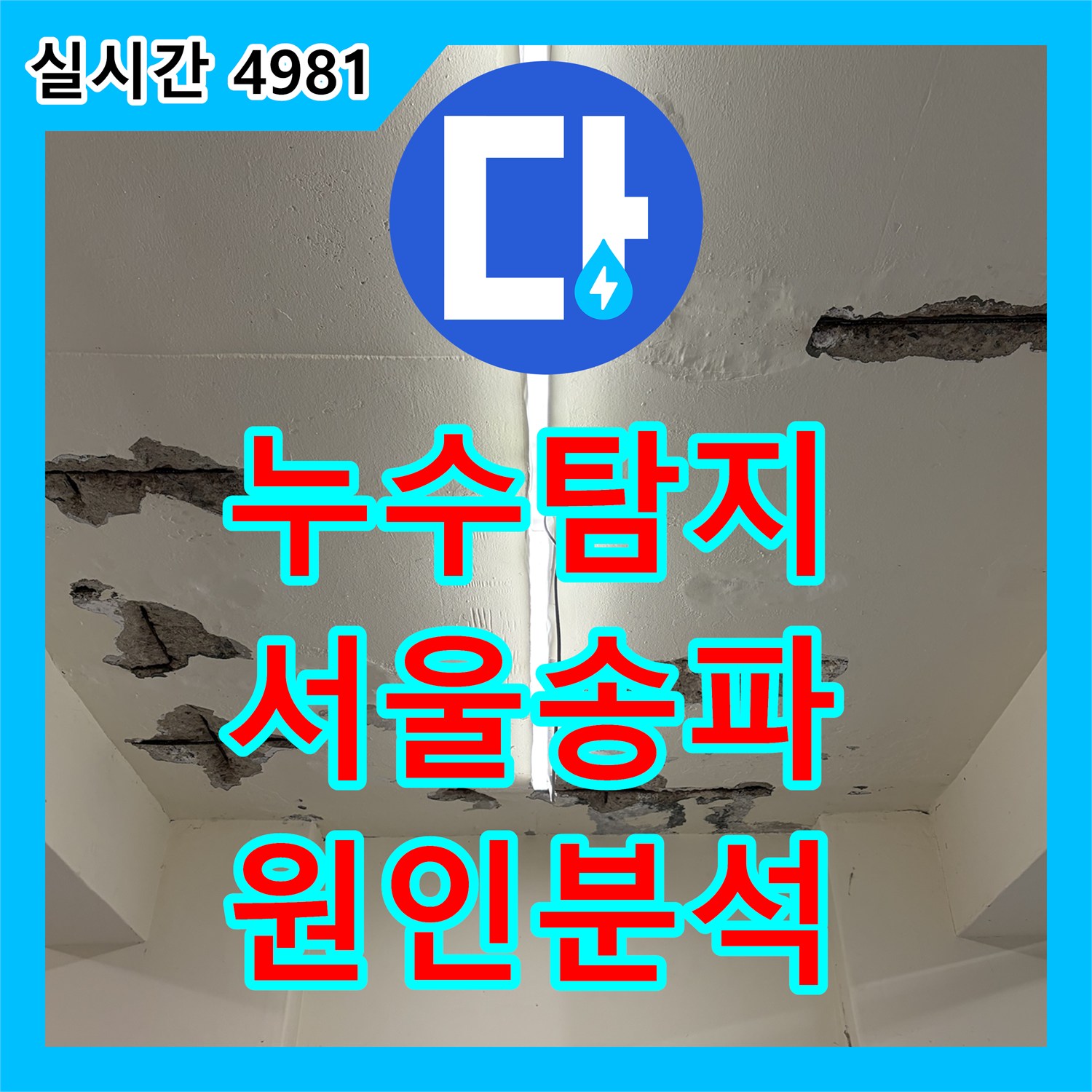 누수탐지 지하 천장 콘크리트 박리와 철근 부식 원인을 정밀 진단한 서울 송파구 가락동 현장