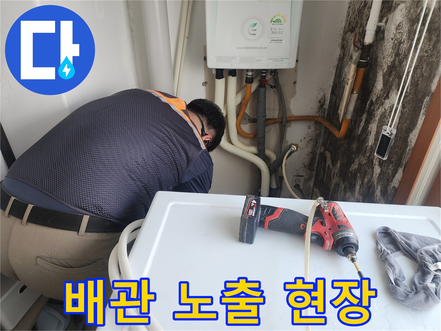 세탁실 내부 배관과 벽면 곰팡이 분포 상태