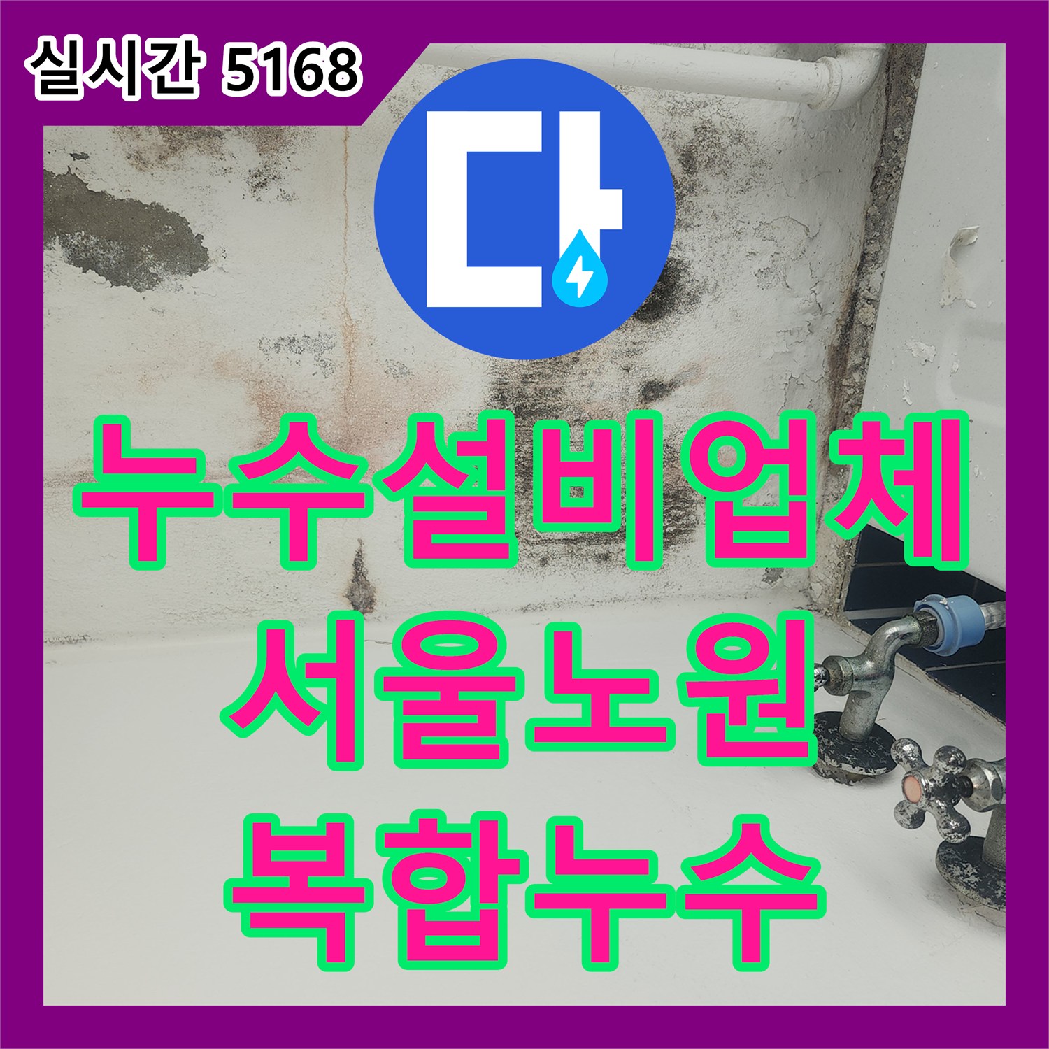 누수설비업체 빗물 유입과 배관 결함이 함께 나타난 복합 누수 현장의 정밀 보수 과정 서울 노원구 월계동