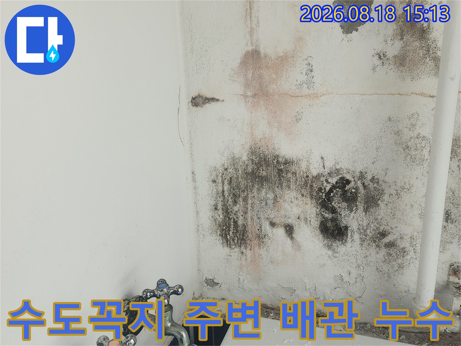 수도꼭지와 연결된 배관 주변의 벽면 곰팡이 및 습기 상태