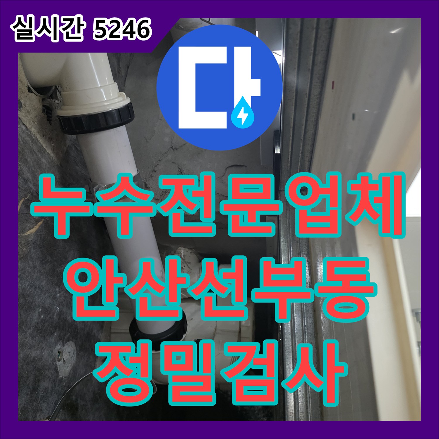 누수전문업체 아래층 화장실 누수 지점을 찾기 위한 배관 및 방수 정밀 검사 경기 안산시 단원구 선부동