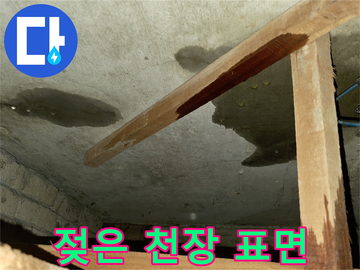누수가 진행 중인 천장-물에 젖어 어둡게 변한 콘크리트 면을 촬영했습니다.