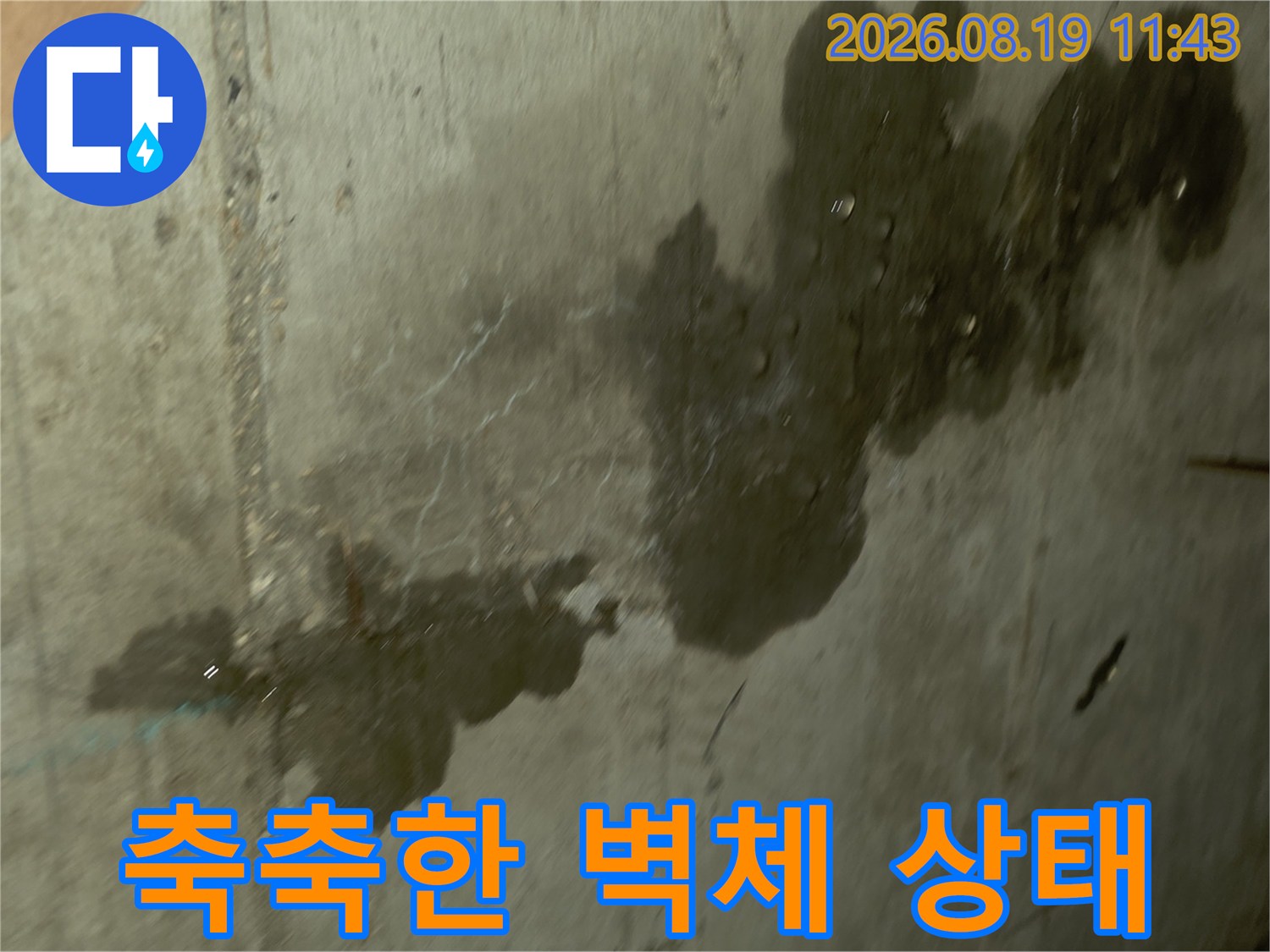 신읍동 누수 현장 사진-물기가 스며들어 변색된 욕실 벽면