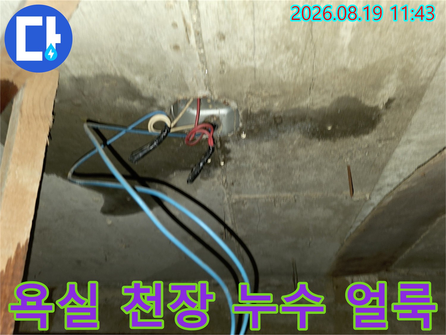포천 신읍동 빌라 욕실 천장의 배관 주변 누수 흔적과 곰팡이 상태