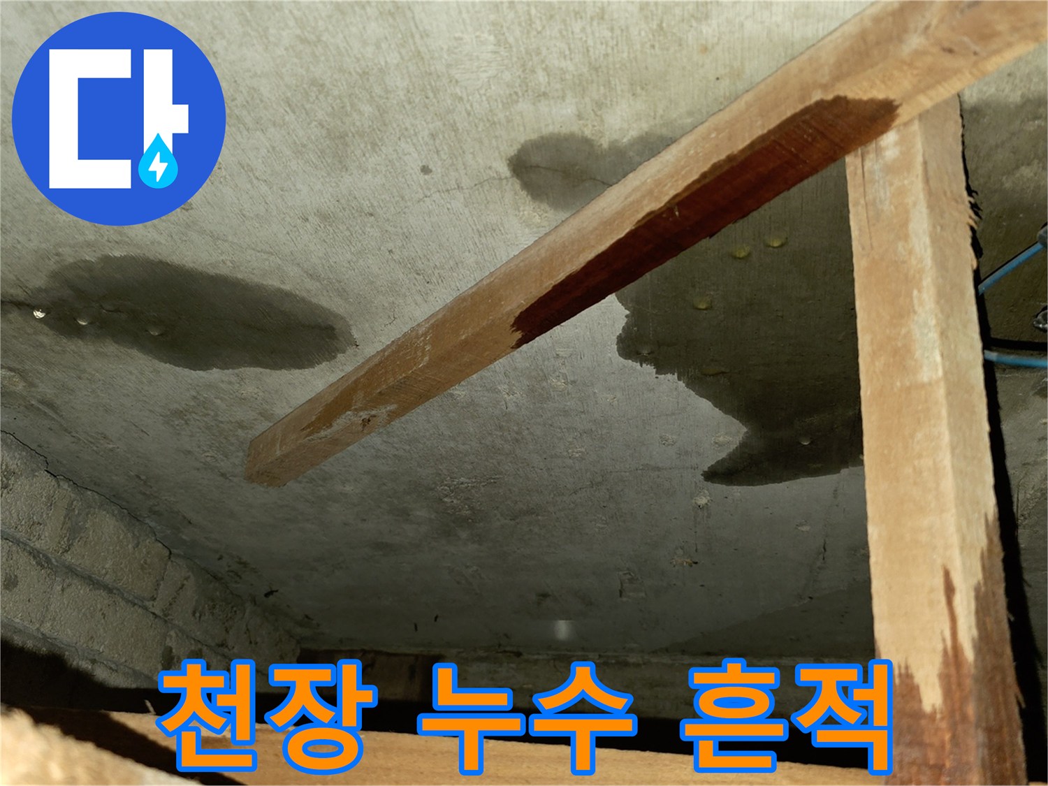 포천 신읍동 빌라 천장-물샘 흔적과 곰목이 발생한 상태