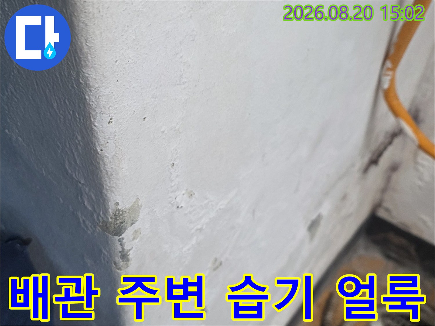 하수 배관 연결 부위의 젖은 마감재와 습기 상태