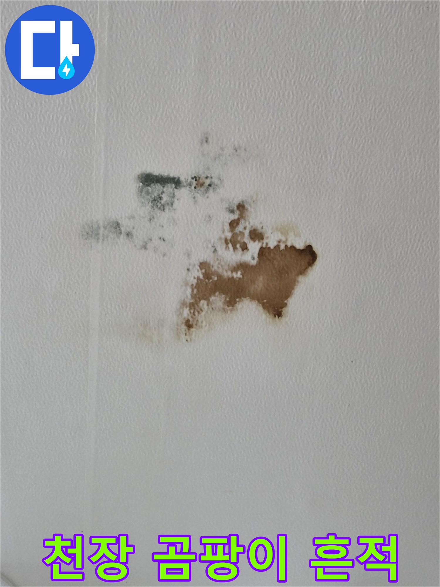 아랫집 거실 천장 도배지에 나타난 심한 물자국과 곰팡이 발생 부위