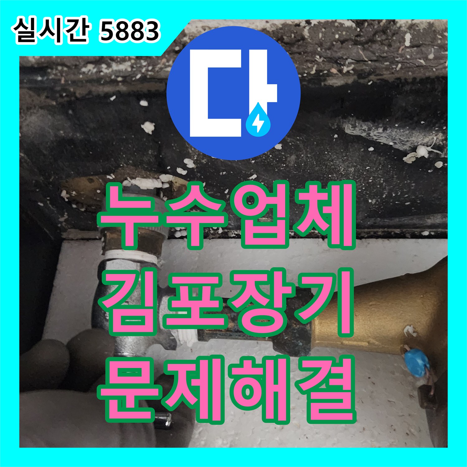 누수업체 빌라 내 노후 수도 계량기의 누수를 발견하고 신속히 교체한 경기 김포시 장기동