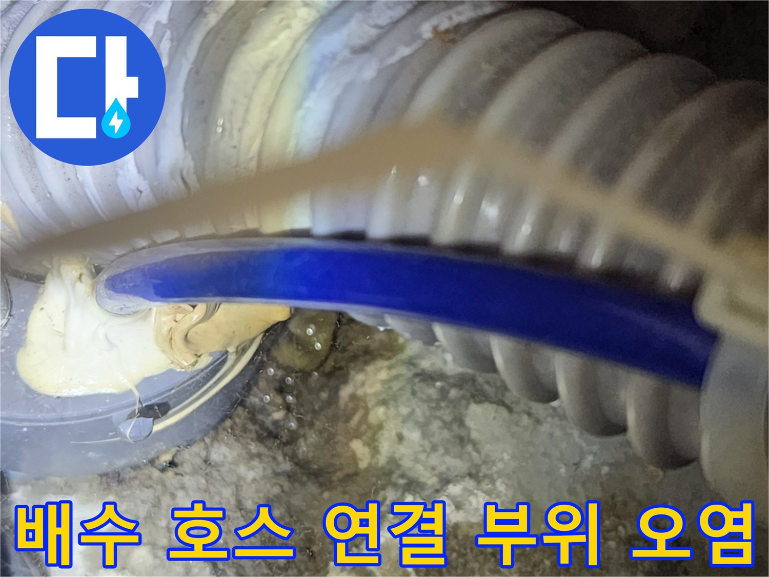 싱크대 하부 배수관 주변의 젖은 흔적과 이물질 적체 상태