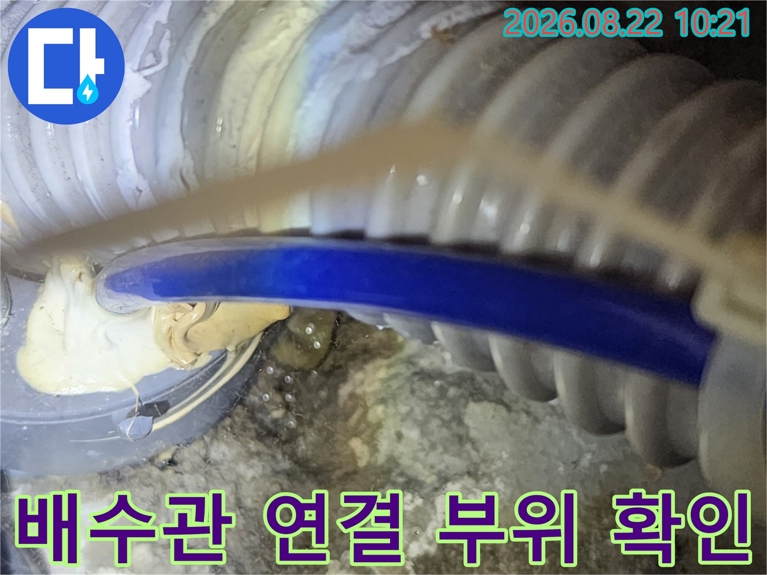 주름관과 파란색 호스 사이의 틈새를 면밀히 관찰하고 있습니다.
