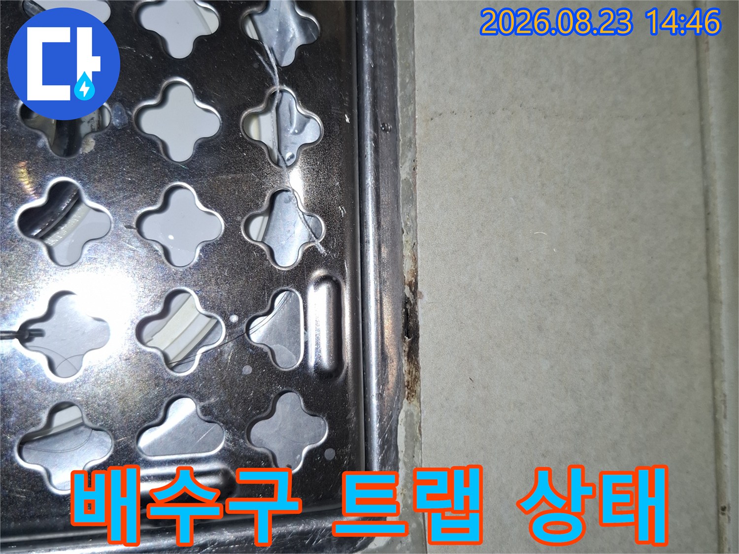 배수구 금속 덮개와 타일 접합부 - 누수 취약 지점 점검