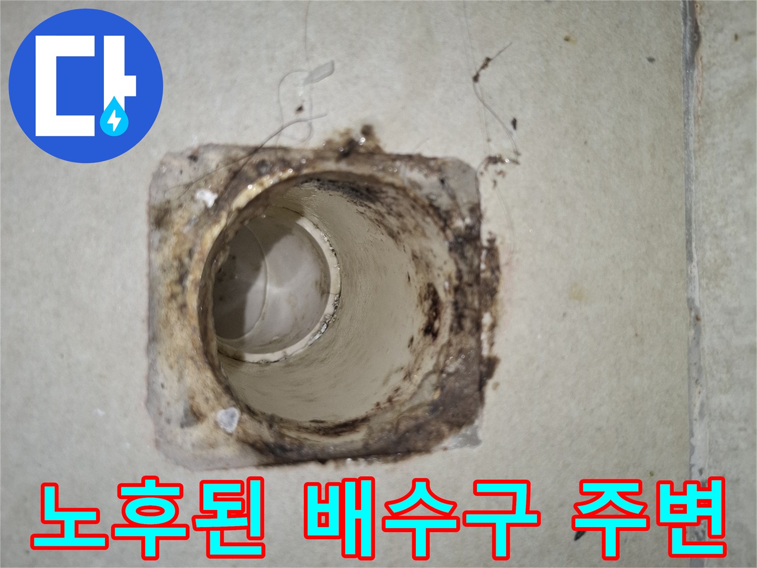 세탁실 하수구 배관 입구의 오염 및 틈새 현황