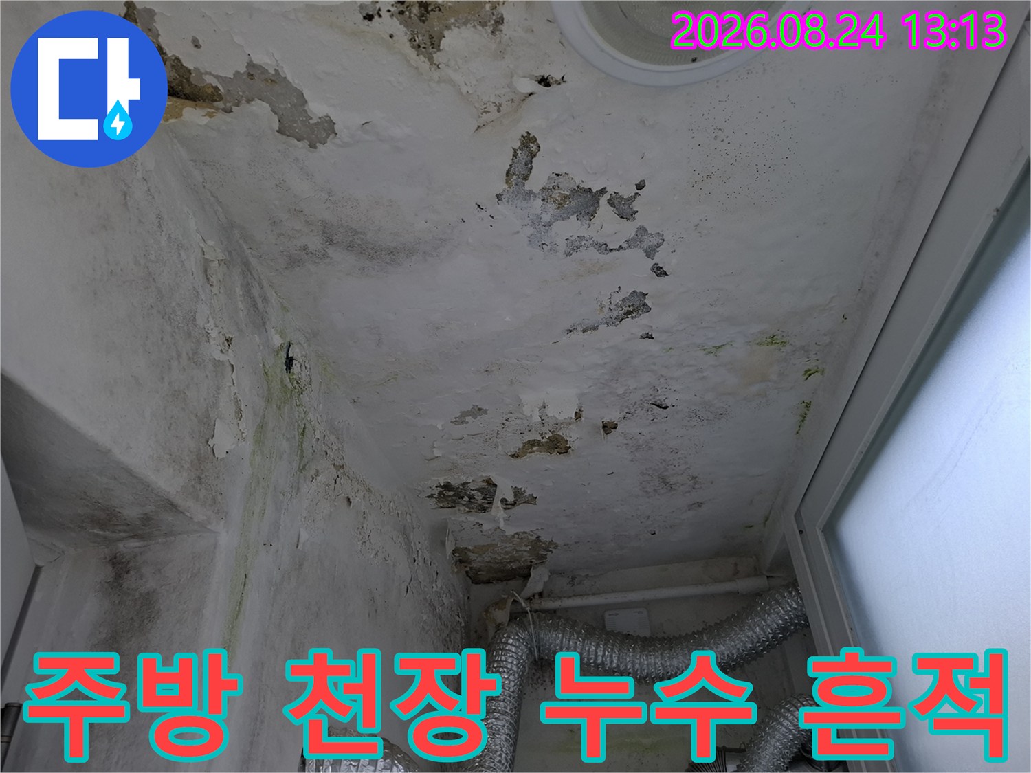 여주시 현암동 주방 천장의 누수 얼룩과 곰팡이 발생 상태