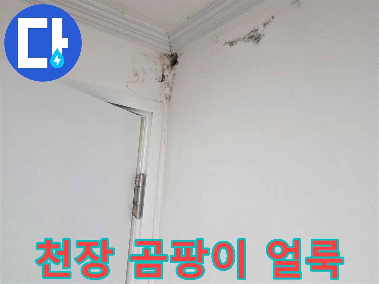 아파트 천장 구석의 검은 곰팡이와 습기 흔적