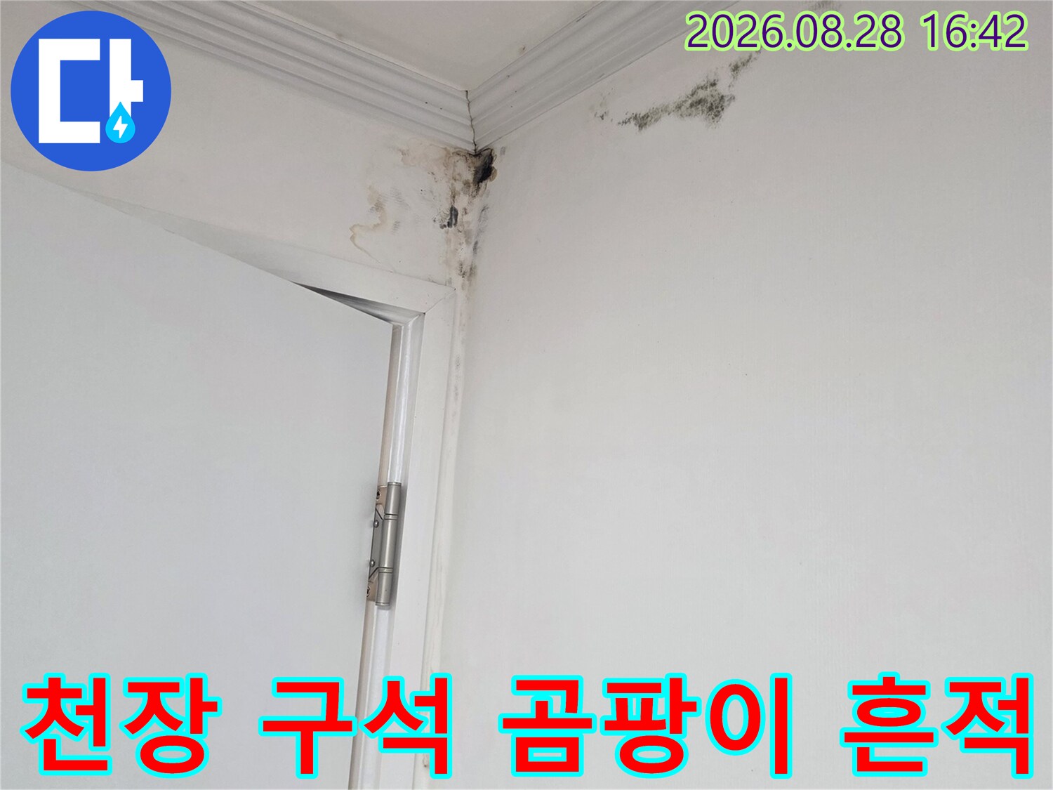 아파트 천장 모서리 벽지에 발생한 검은색 곰팡이와 얼룩