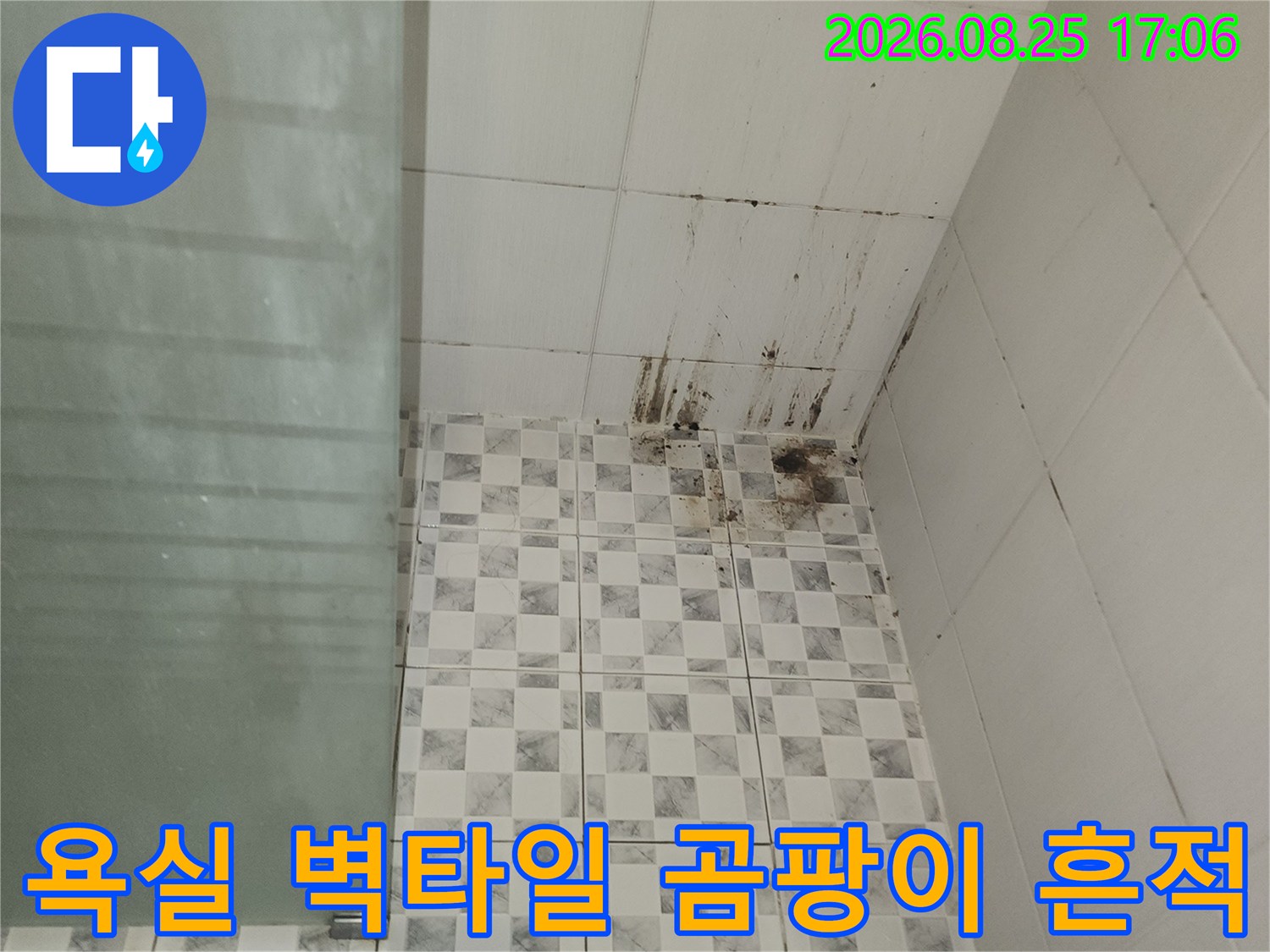 하얀 타일 벽면에 나타난 검은색 곰팡이와 누수 자국