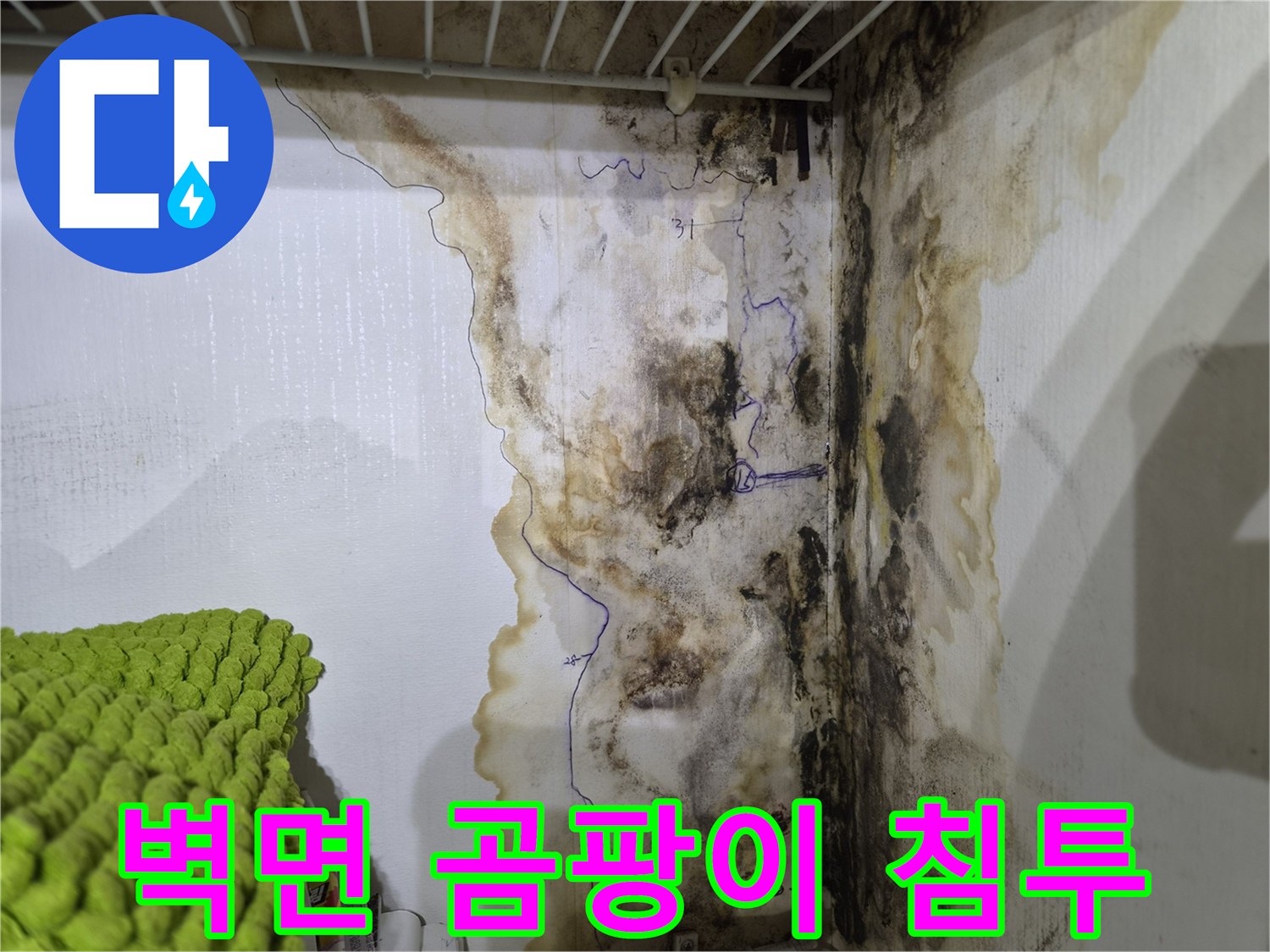 습기에 의해 젖고 변색된 벽면의 상세 모습