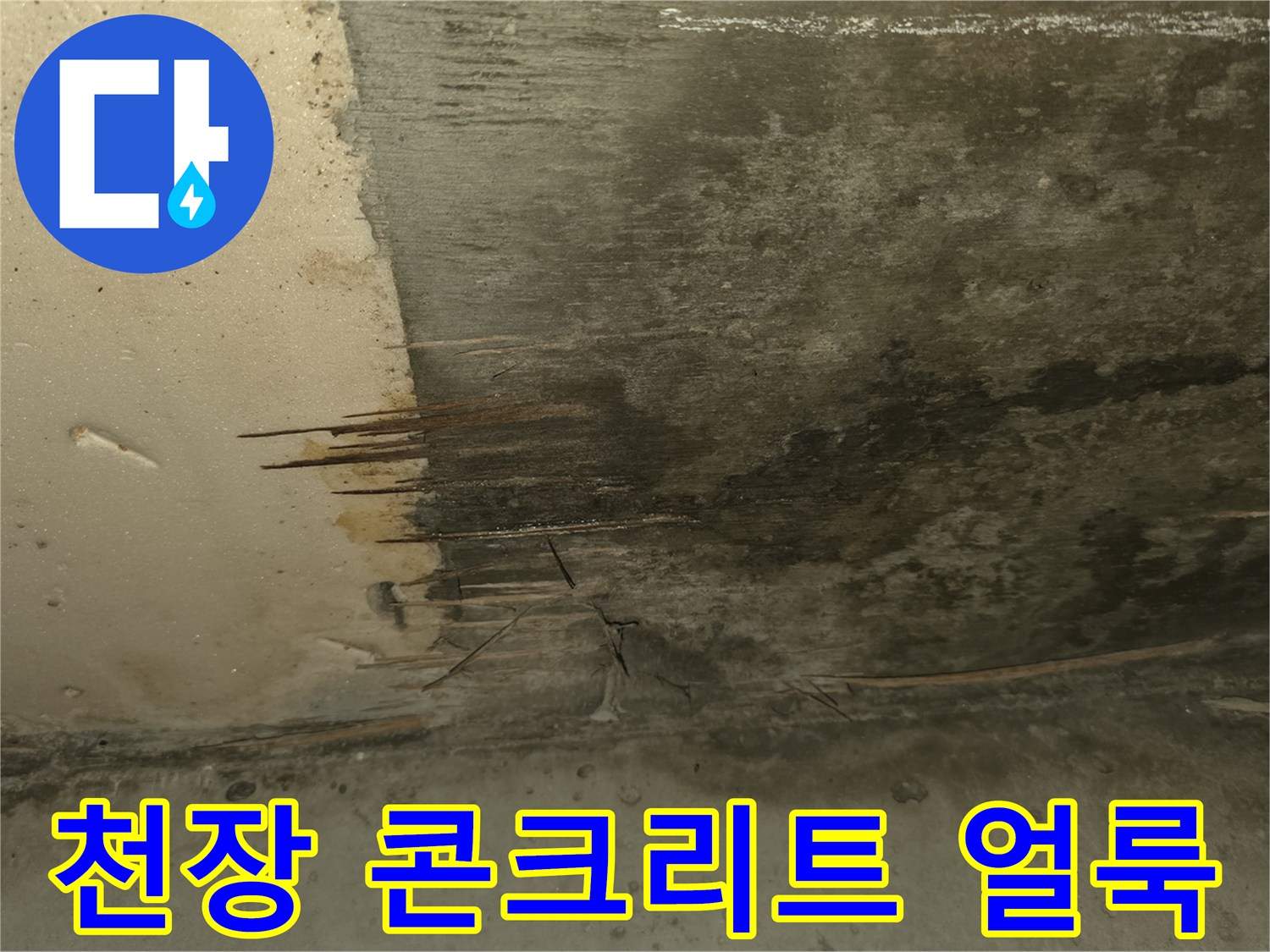 물샘 현상으로 인해 검게 변한 천장 콘크리트 면의 모습