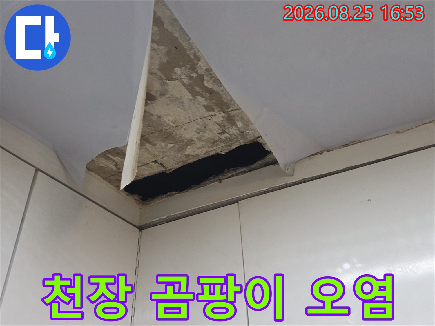 상부장 천장 모서리 부분의 곰팡이와 습기 침투 흔적
