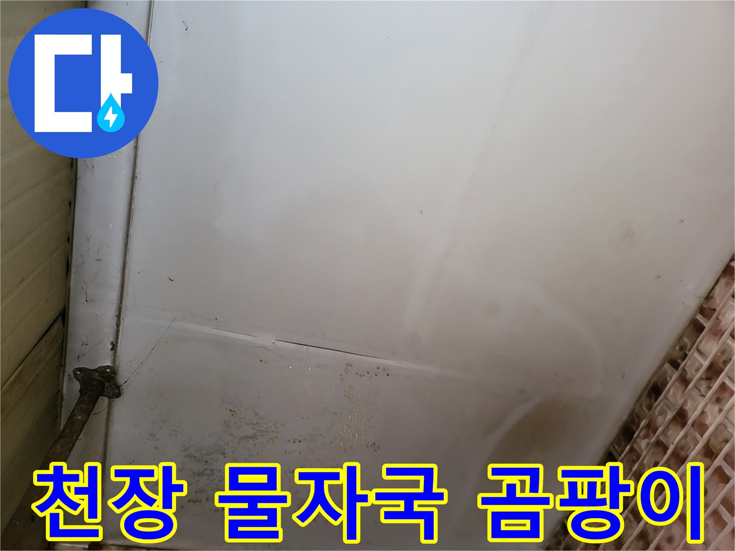 보령 남포면 현장-천장 벽지 얼룩과 곰팡이가 발생한 모습