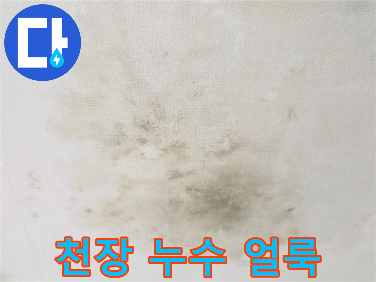 거실-천장에-넓게-퍼진-누수-및-곰팡이-흔적