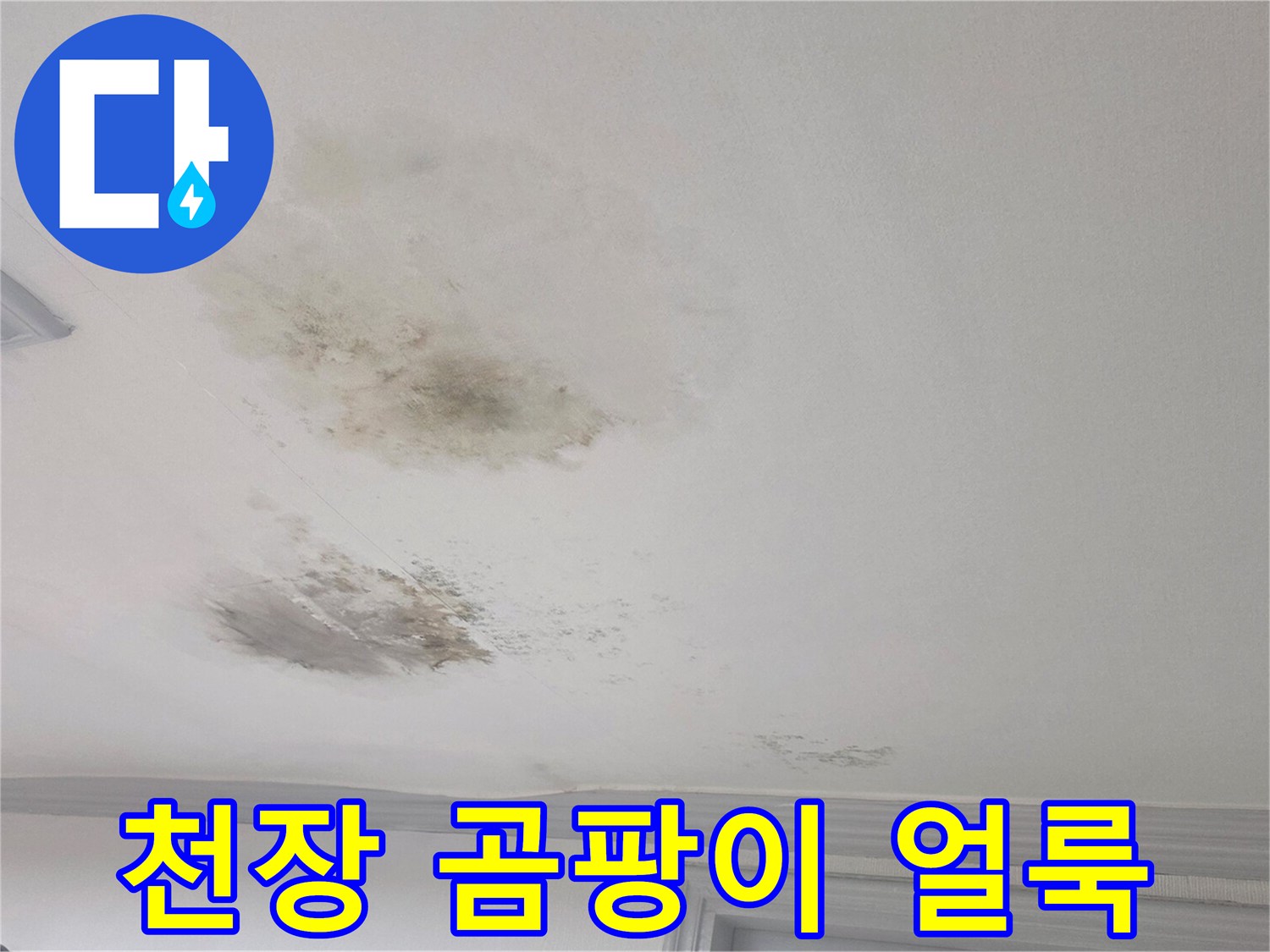 광주 송정동 거실 - 누수로 인해 변색되고 곰팡이가 생긴 천장