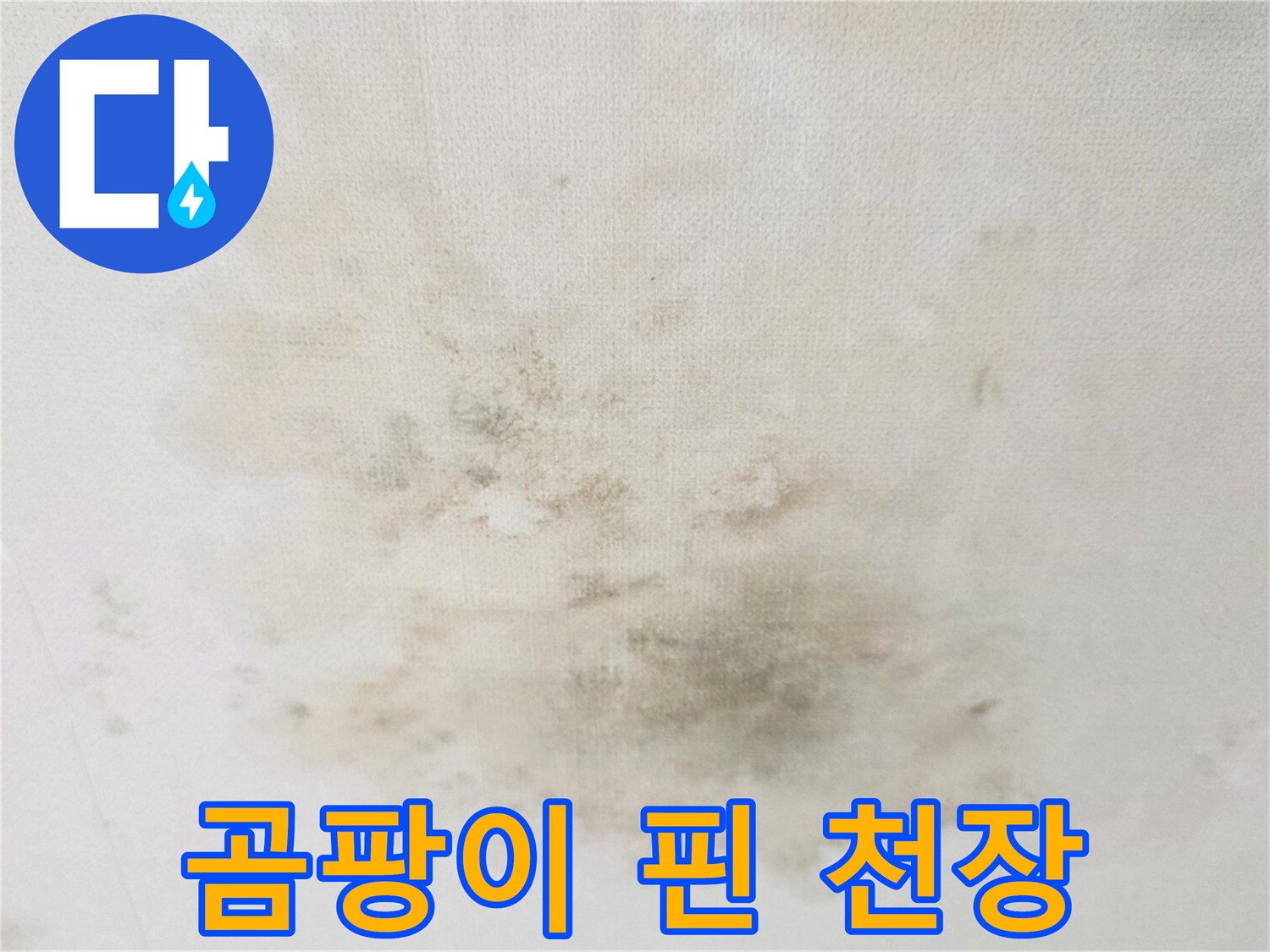누수로-인해-오염된-거실-천장의-곰팡이-및-얼룩