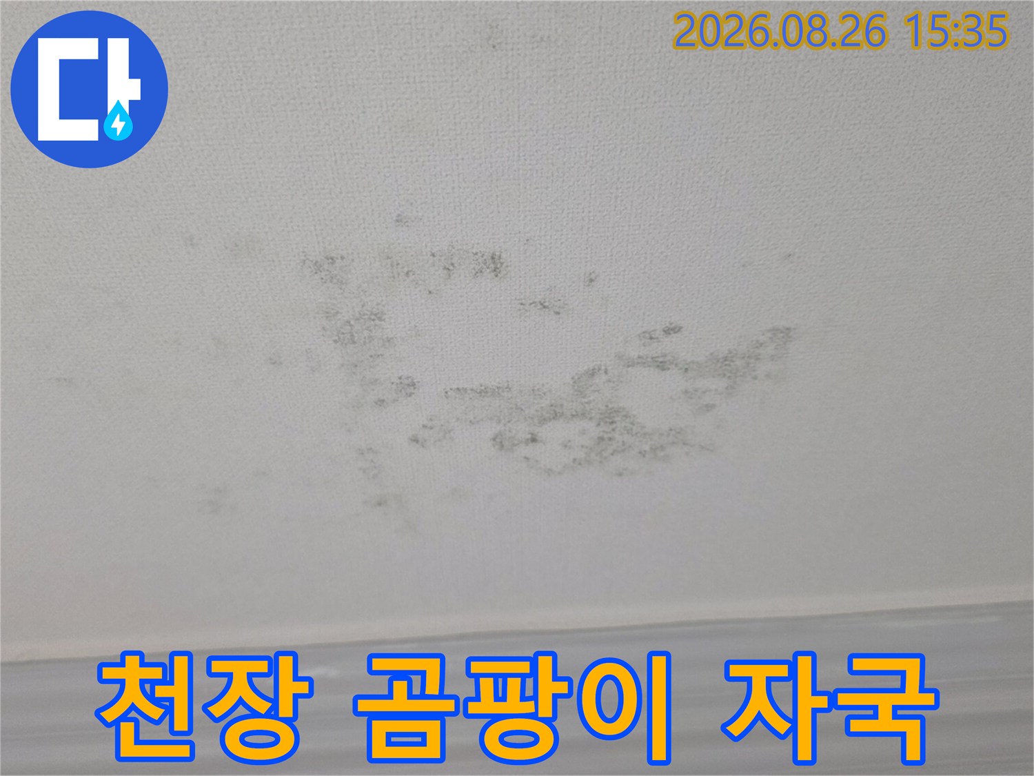 천장 곳곳에 발생한 곰팡이와 습기 얼룩 현장
