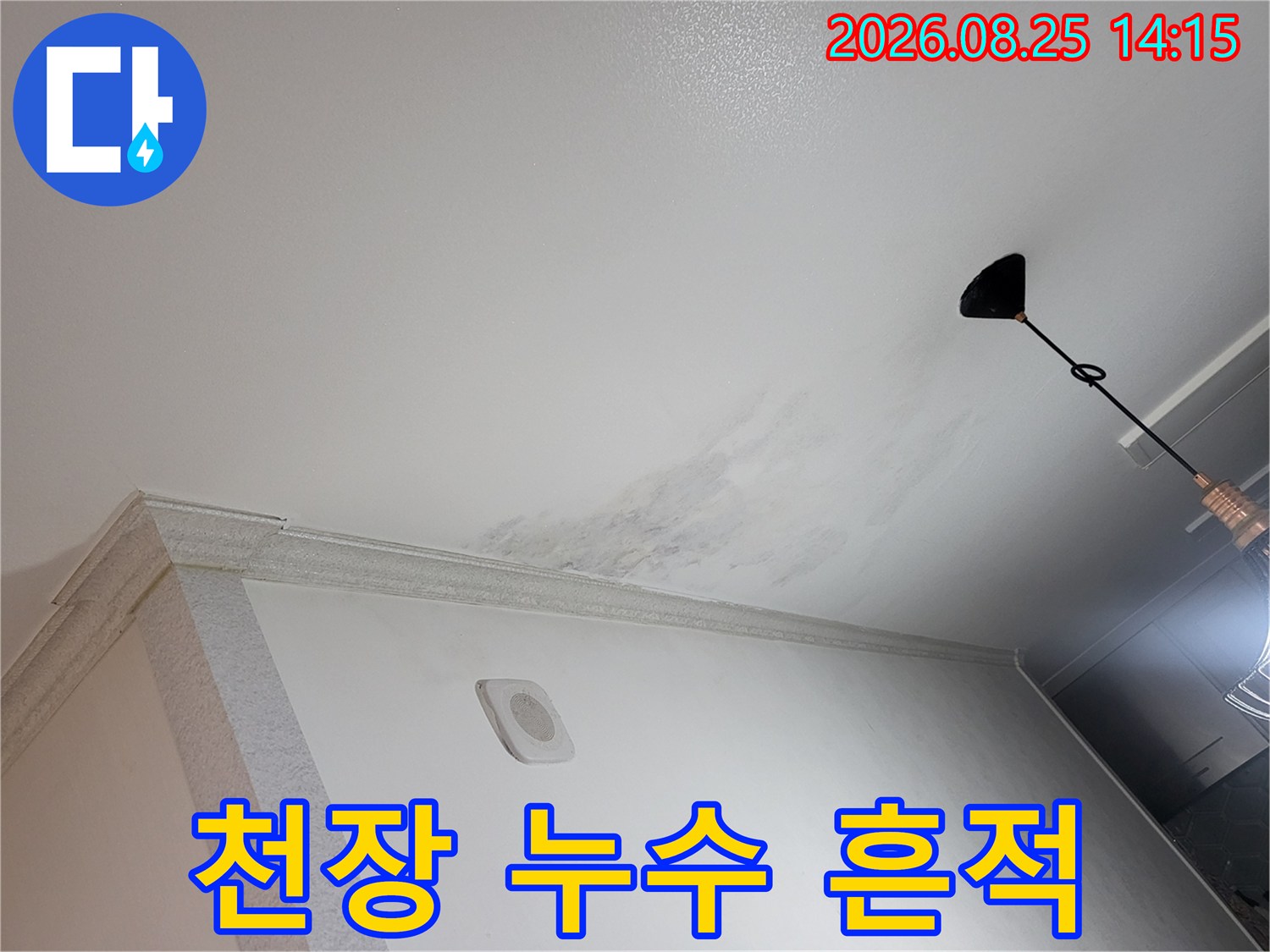천장 마감재에 넓게 퍼진 습기 자국과 물 얼룩