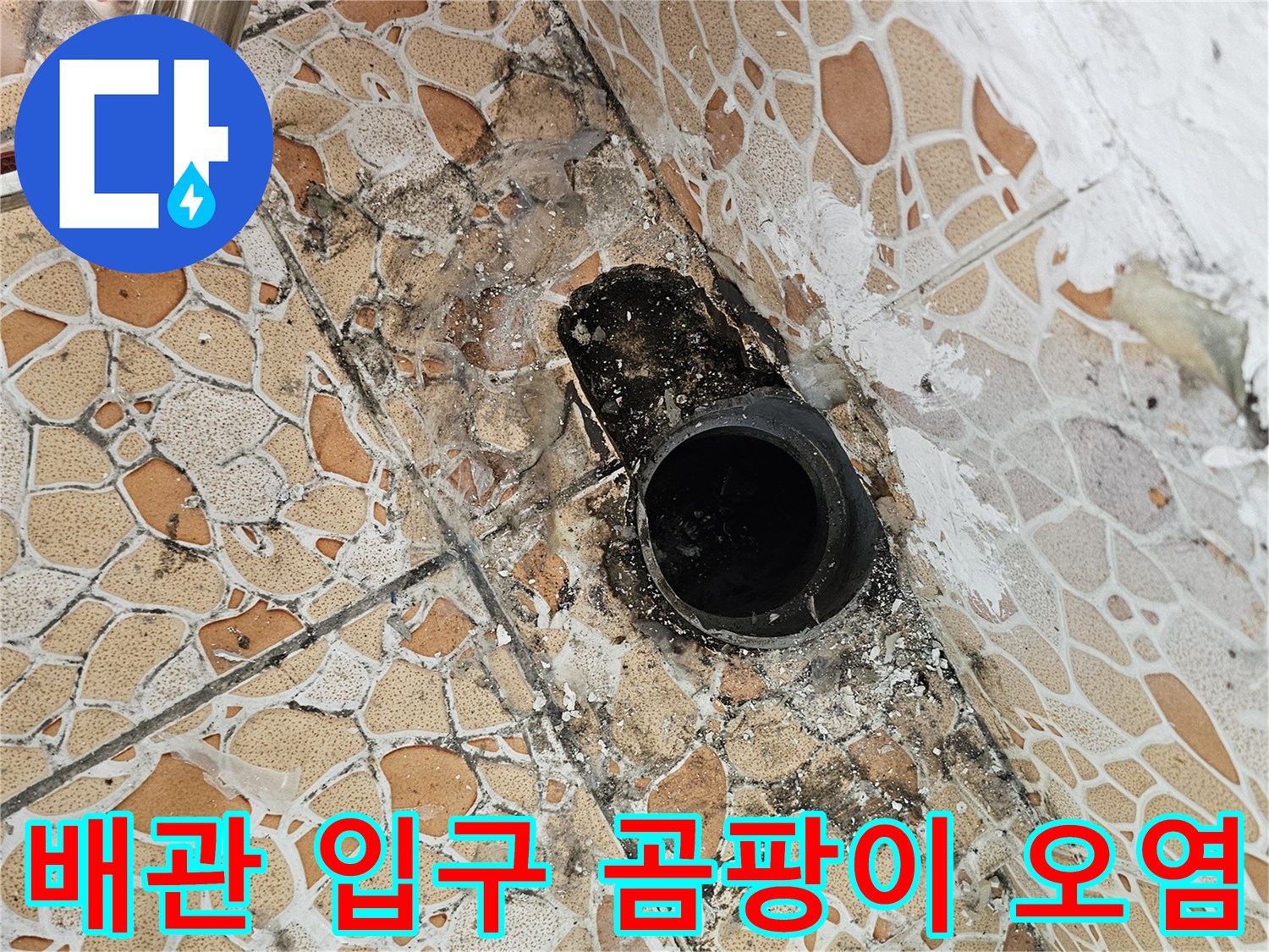배관-주변-타일-틈새에-발생한-검은-곰팡이-현황
