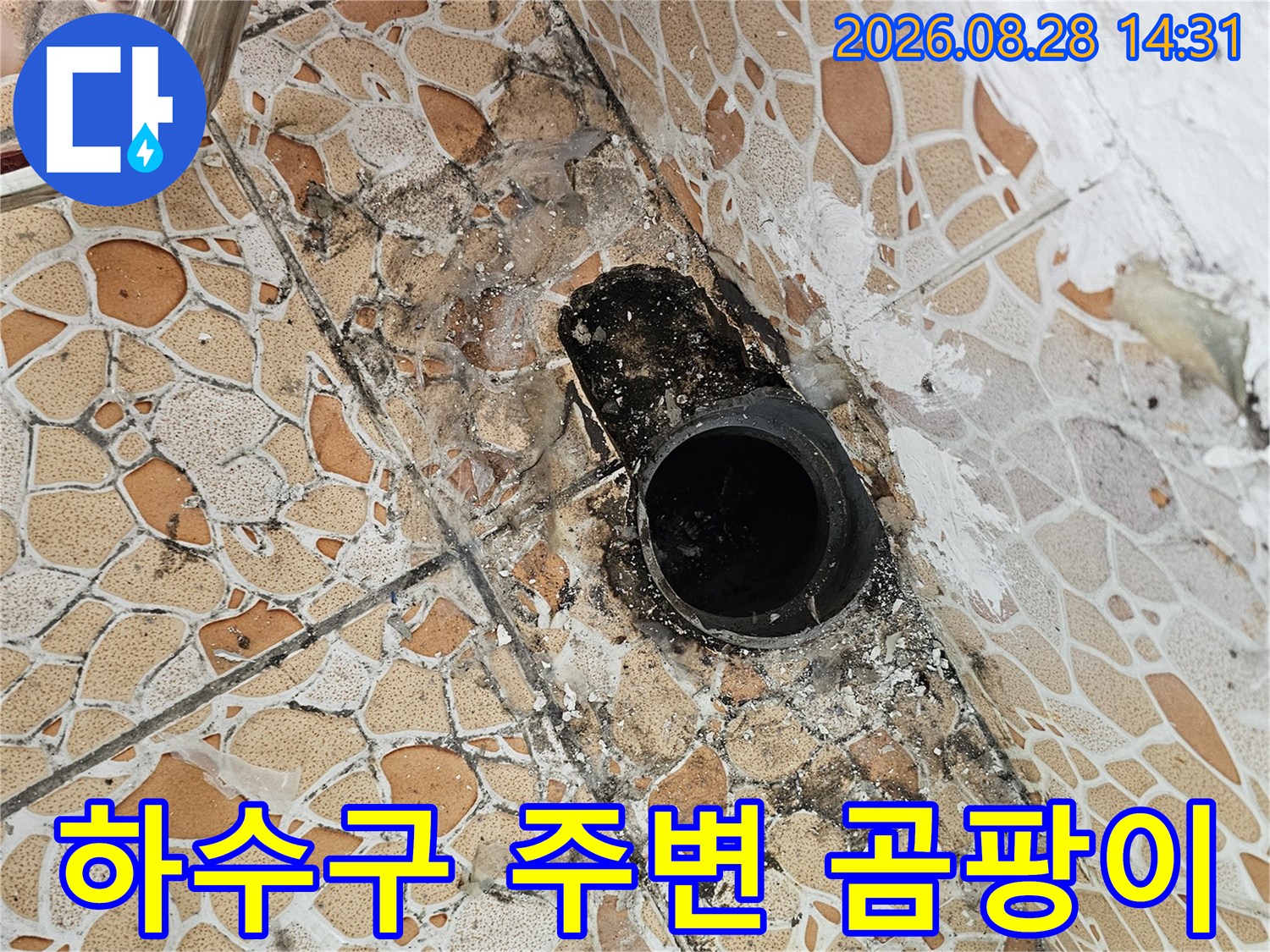 습기로 인해 곰팡이가 발생한 배수관 입구 모습입니다.