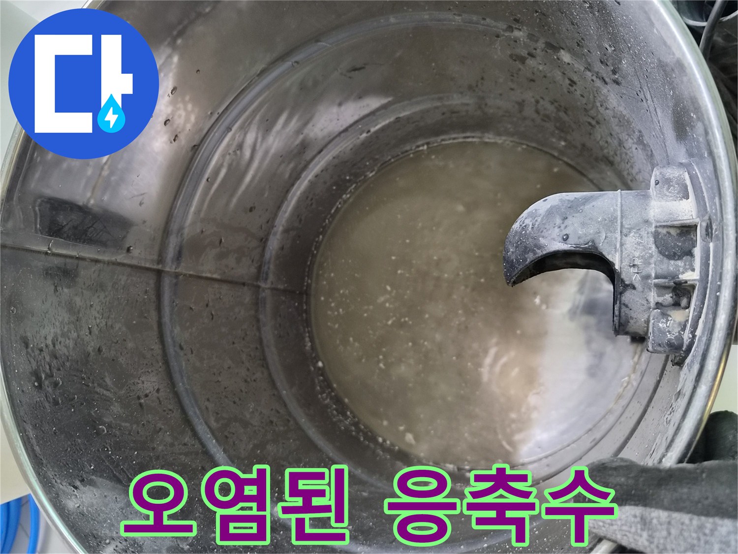 배관 세척 후 양동이에 모인 탁한 오수
