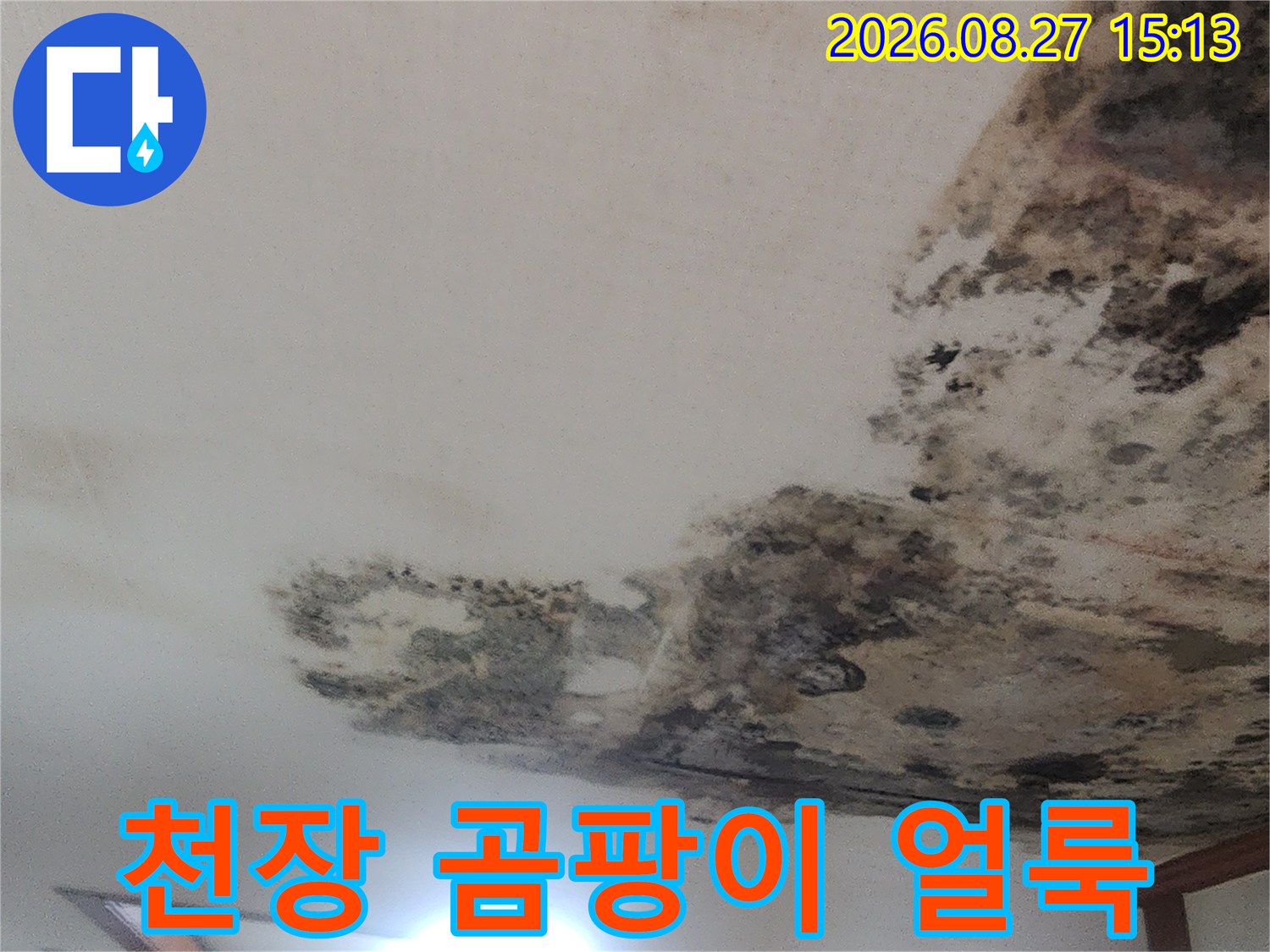 성북구 현장-천장 벽지에 발생한 심각한 곰팡이와 누수 흔적