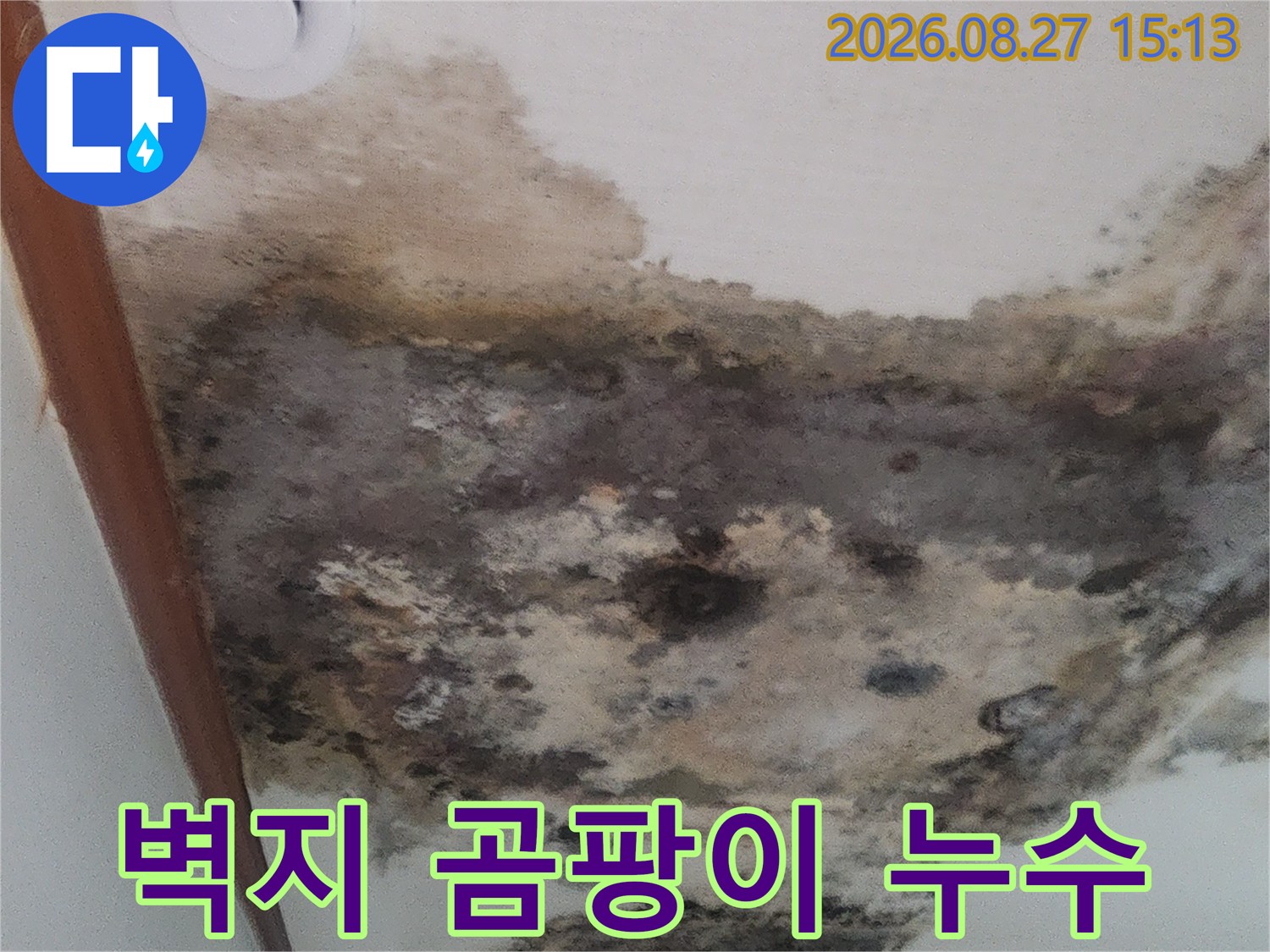 심한 누수 흔적과 함께 벽지 곳곳에 발생한 검은색 곰팡이 이미지