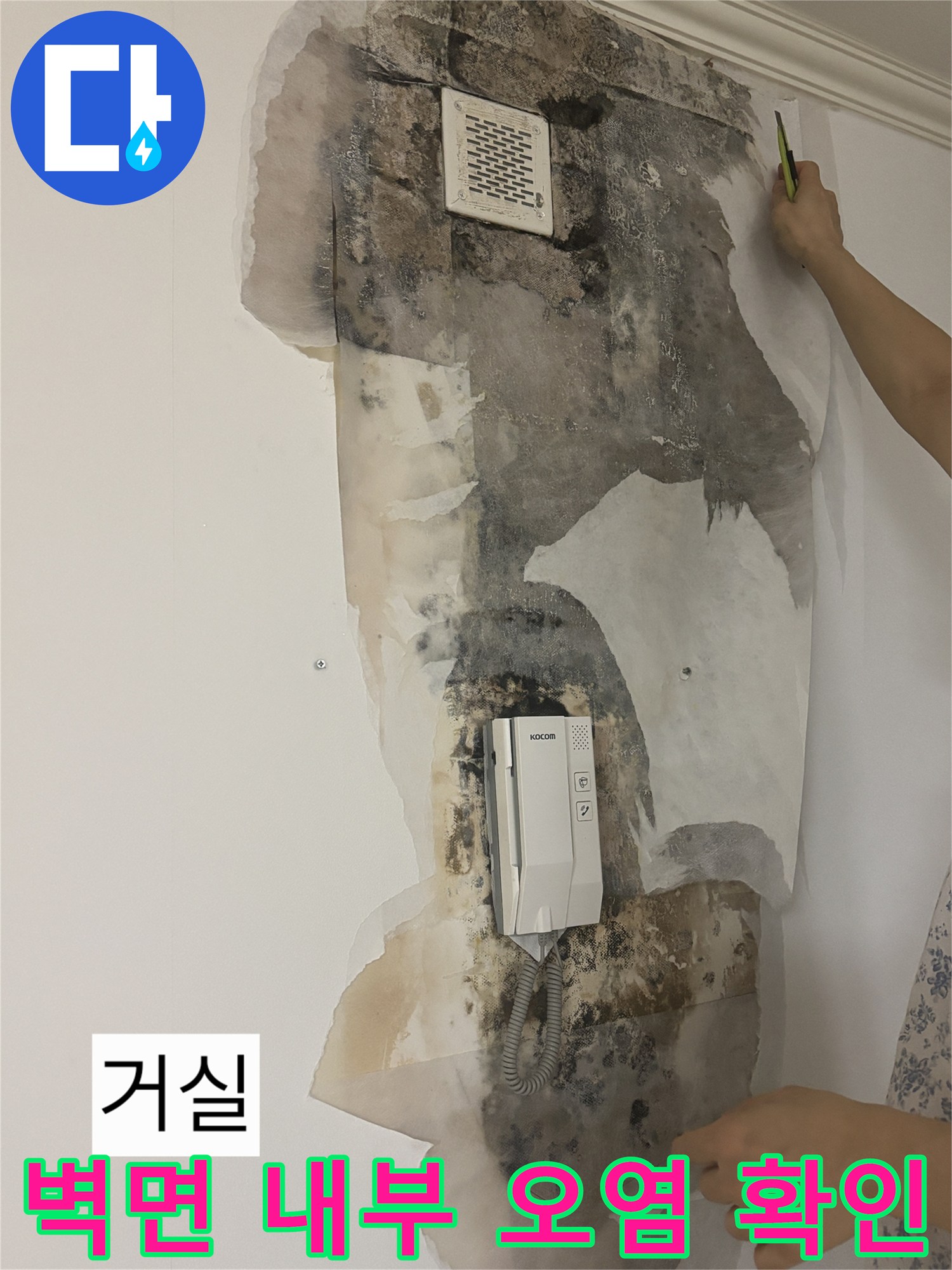 상계 누수 현장-인터폰 주변의 젖은 벽면과 검은 곰팡이 흔적