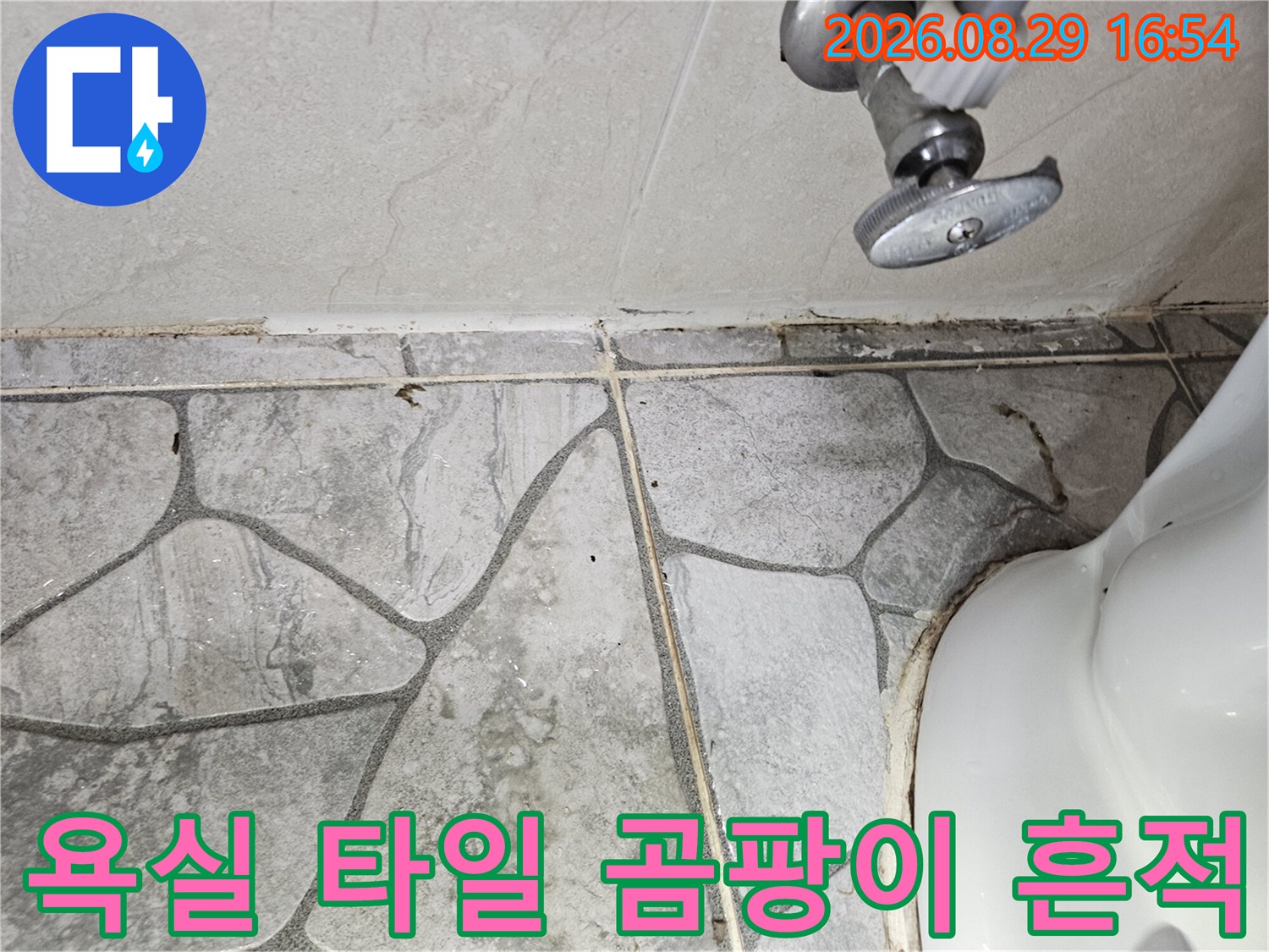상계동 화장실 벽면 타일 줄눈에 발생한 곰팡이와 습기 현상입니다.
