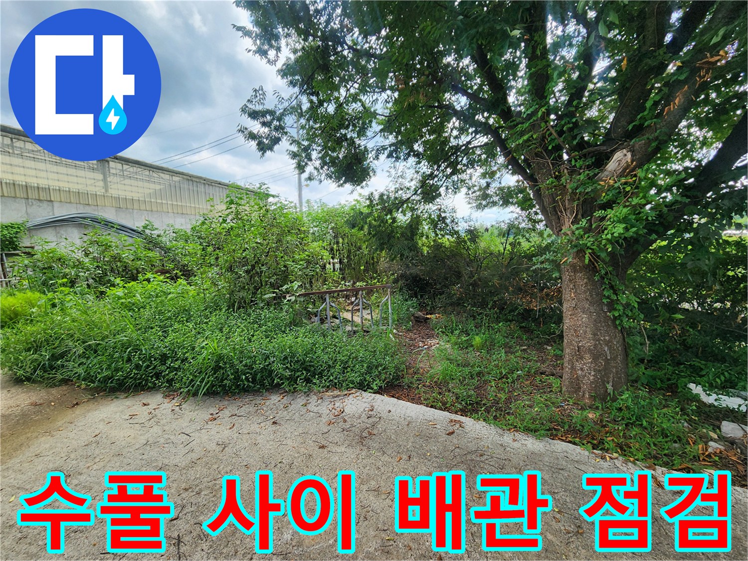 나무와 풀이 많은 야외 환경에서 진행된 상수도 배관 진단 모습