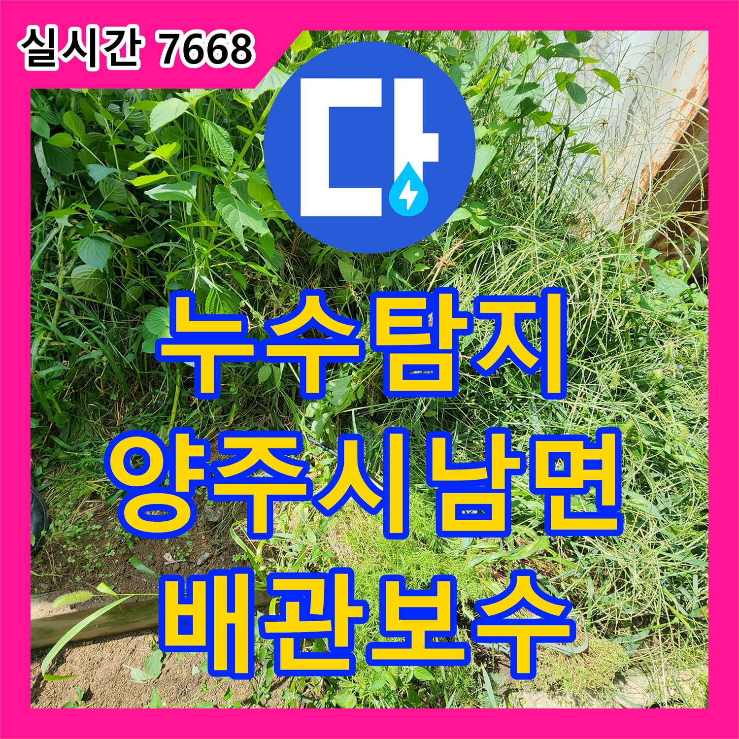 누수탐지 상수도 계량기가 계속 돌아가는 목장 배관의 누수 지점을 찾아 보수한 사례 경기 양주시 남면