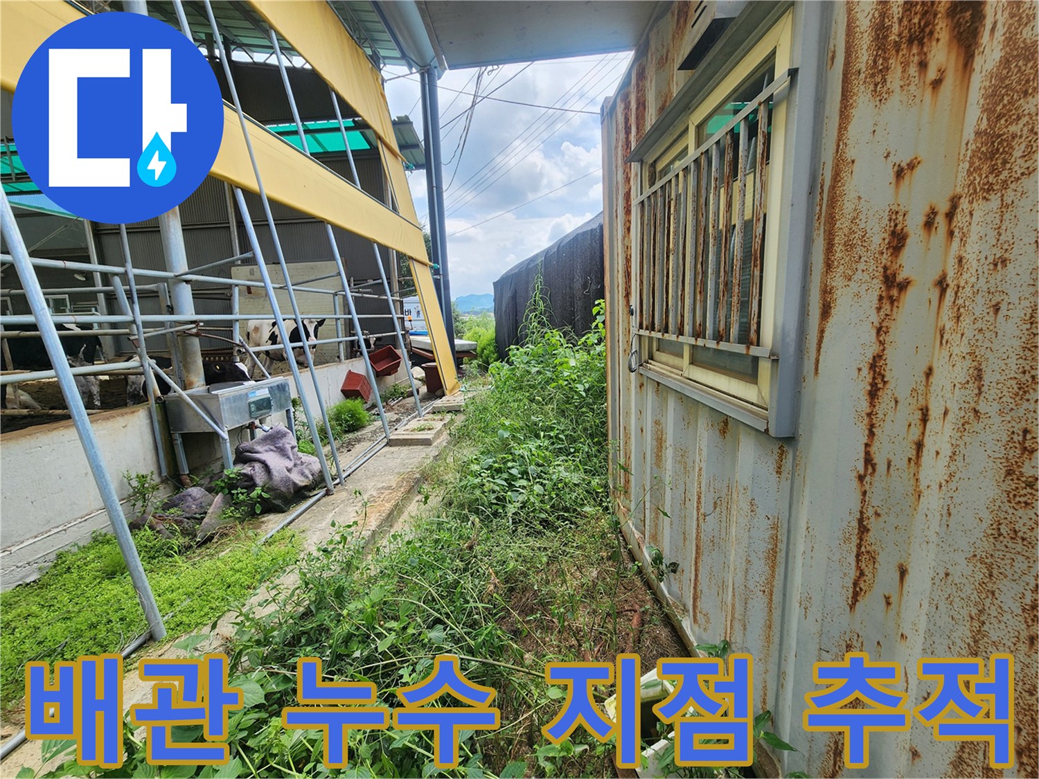 양주시 남면 현장-매설 배관 주변의 정밀 탐지 과정