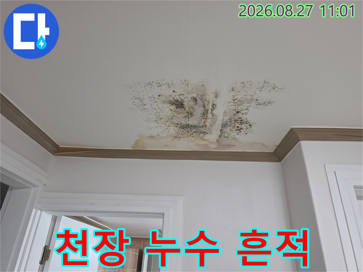 물샘 현상으로 인해 변색된 천장 마감재와 곰팡이 분포