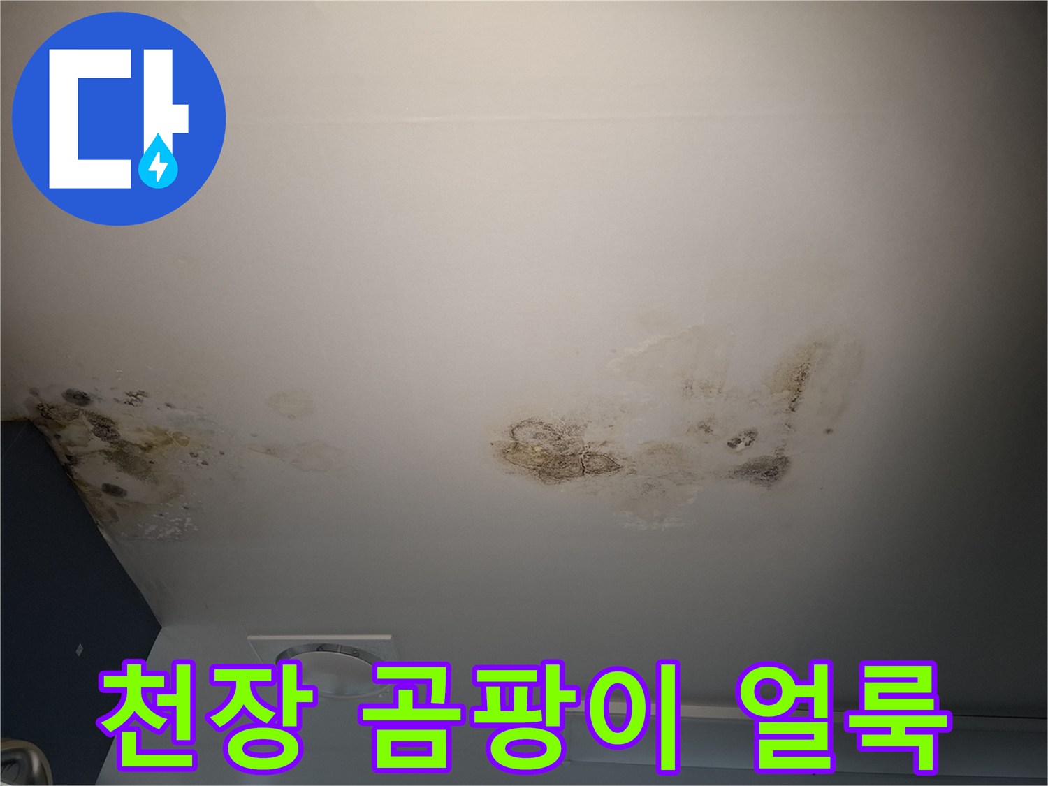 병실 천장 텍스 부위에 발생한 곰팡이와 누수 흔적